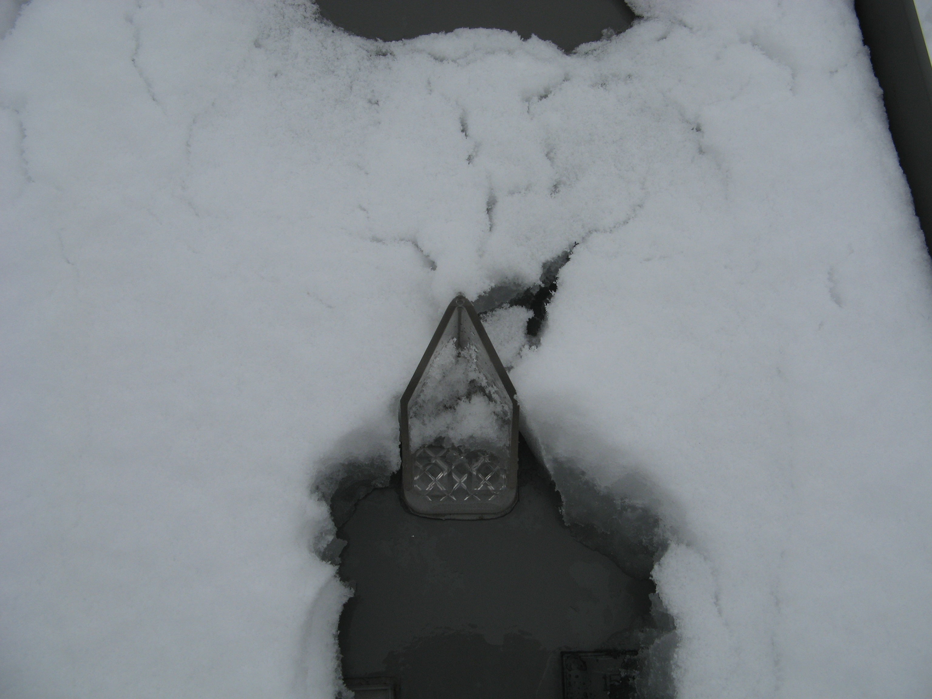 Dispositifs antichute de neige SnowBreaker 25 à fixation adhésive pour toitures métalliques