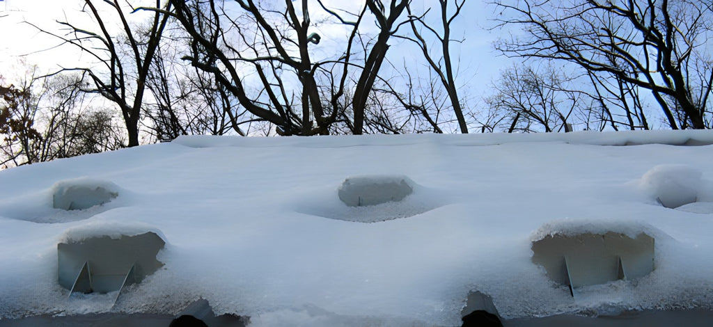 SnowCatchers stainless steel snow guards holding accumulated snow on a metal roof to prevent sliding